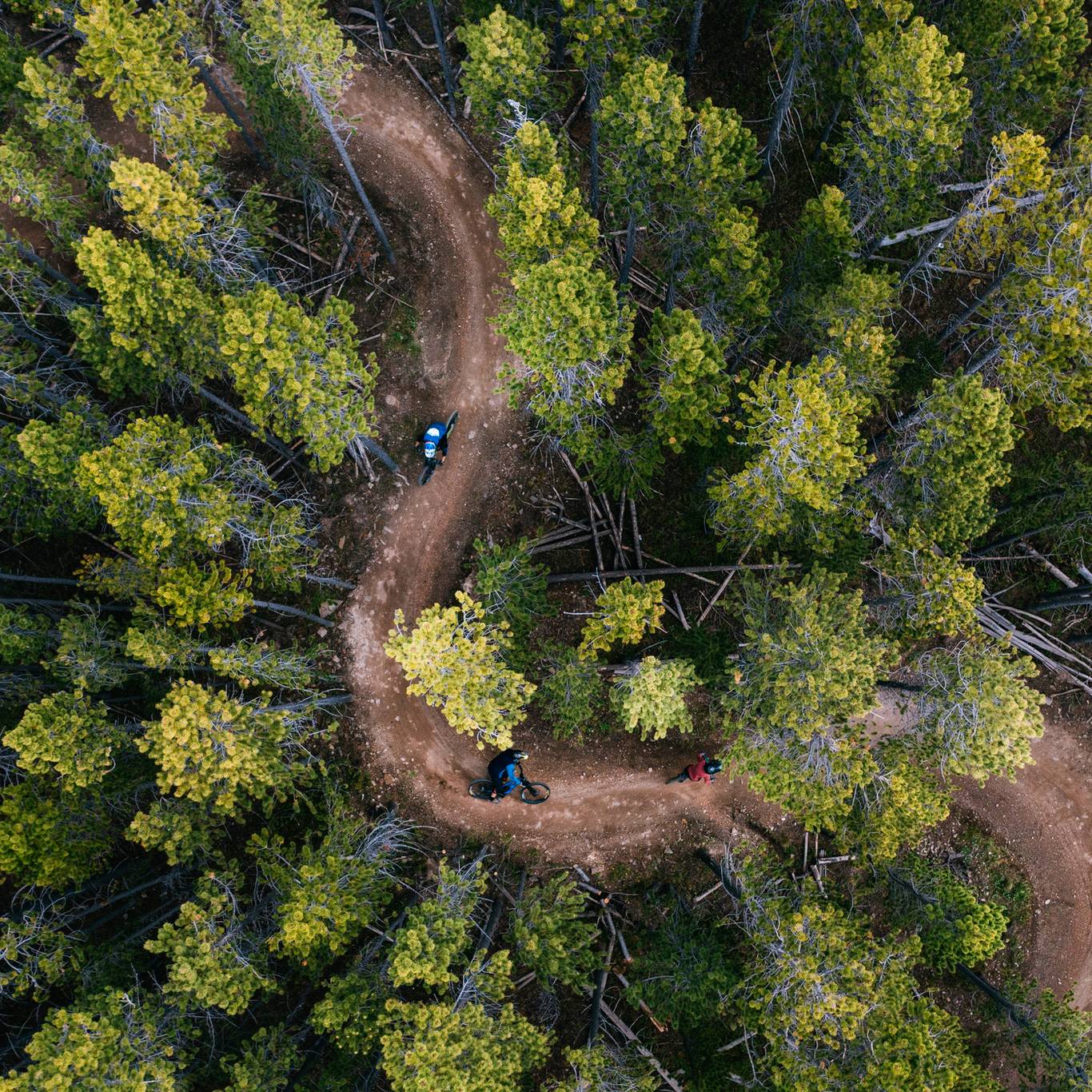Mountain bikers on a trail through the trees seen from above