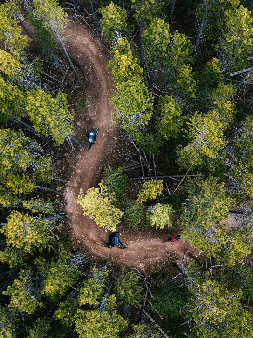 Aerial photo of mountain bikers in an evergreen forest