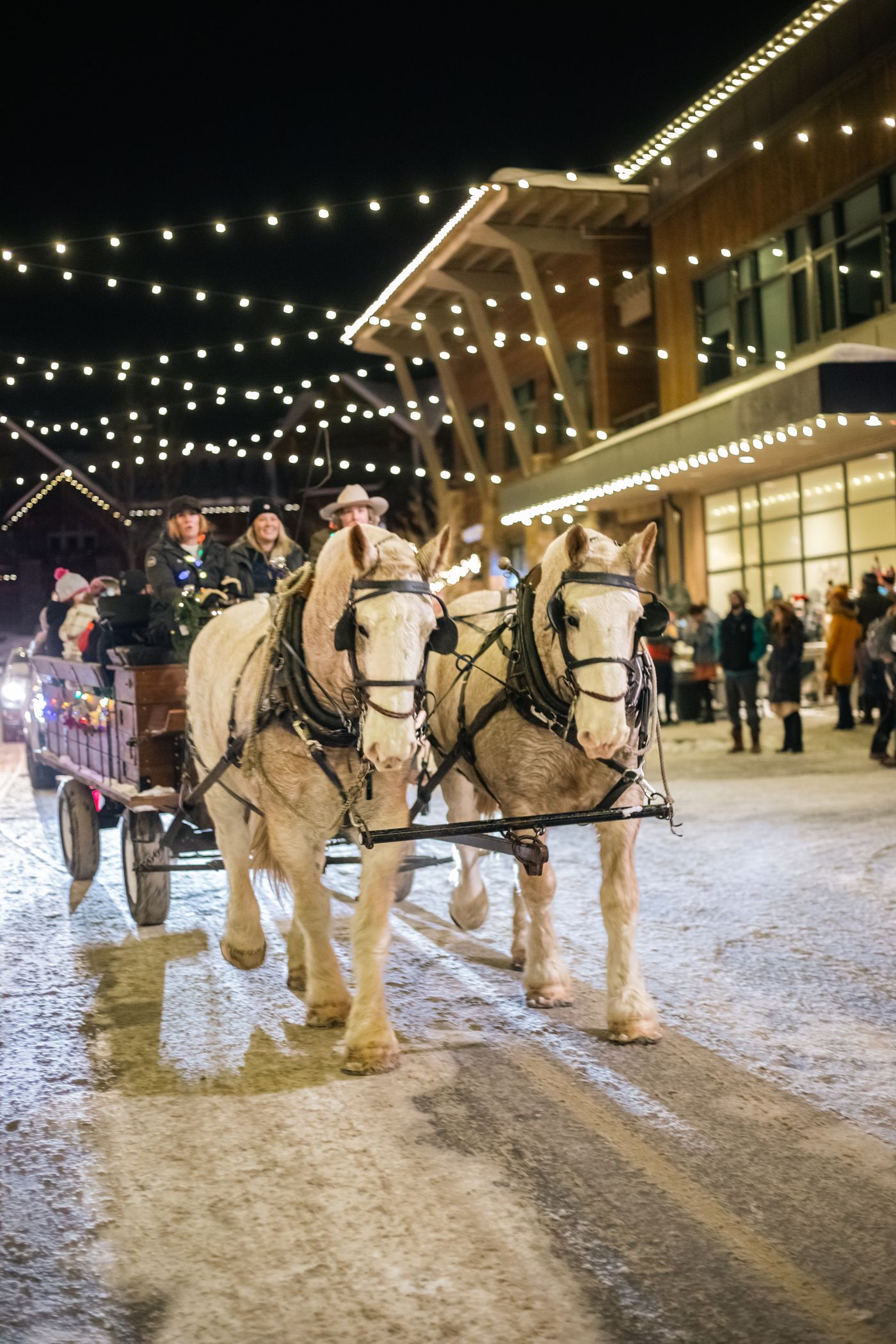 Sleigh Rides in Town Center for the Christmas Stroll event