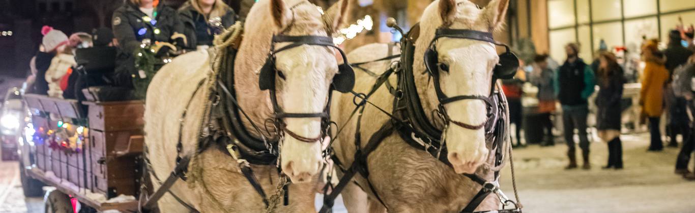 Sleigh Rides in Town Center for the Christmas Stroll event