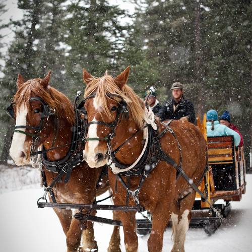 Horse-drawn sleigh ride winter dinners in Big Sky, Montana