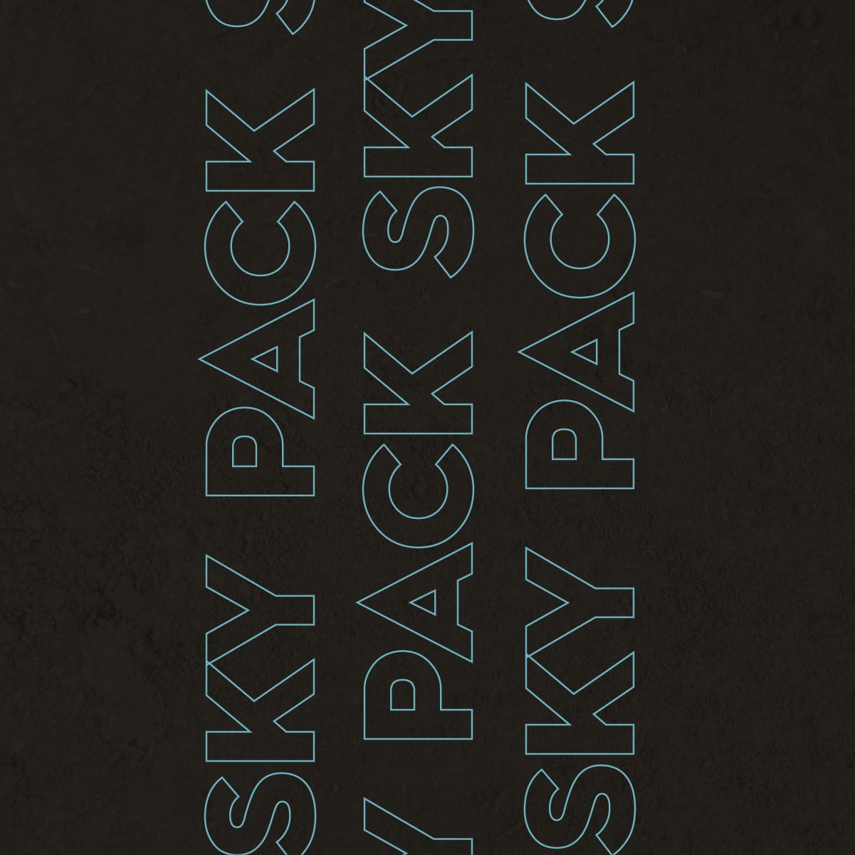 Sky Pack 4 Bike Haul pass