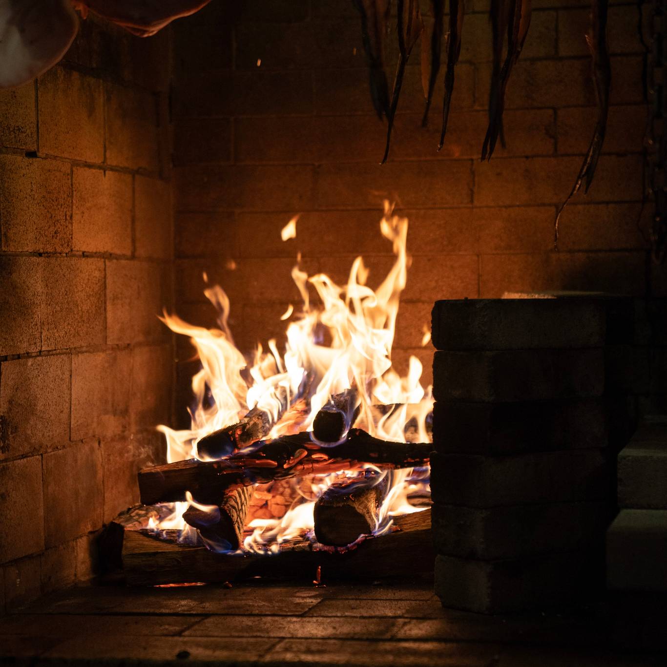 Wood burning fireplace