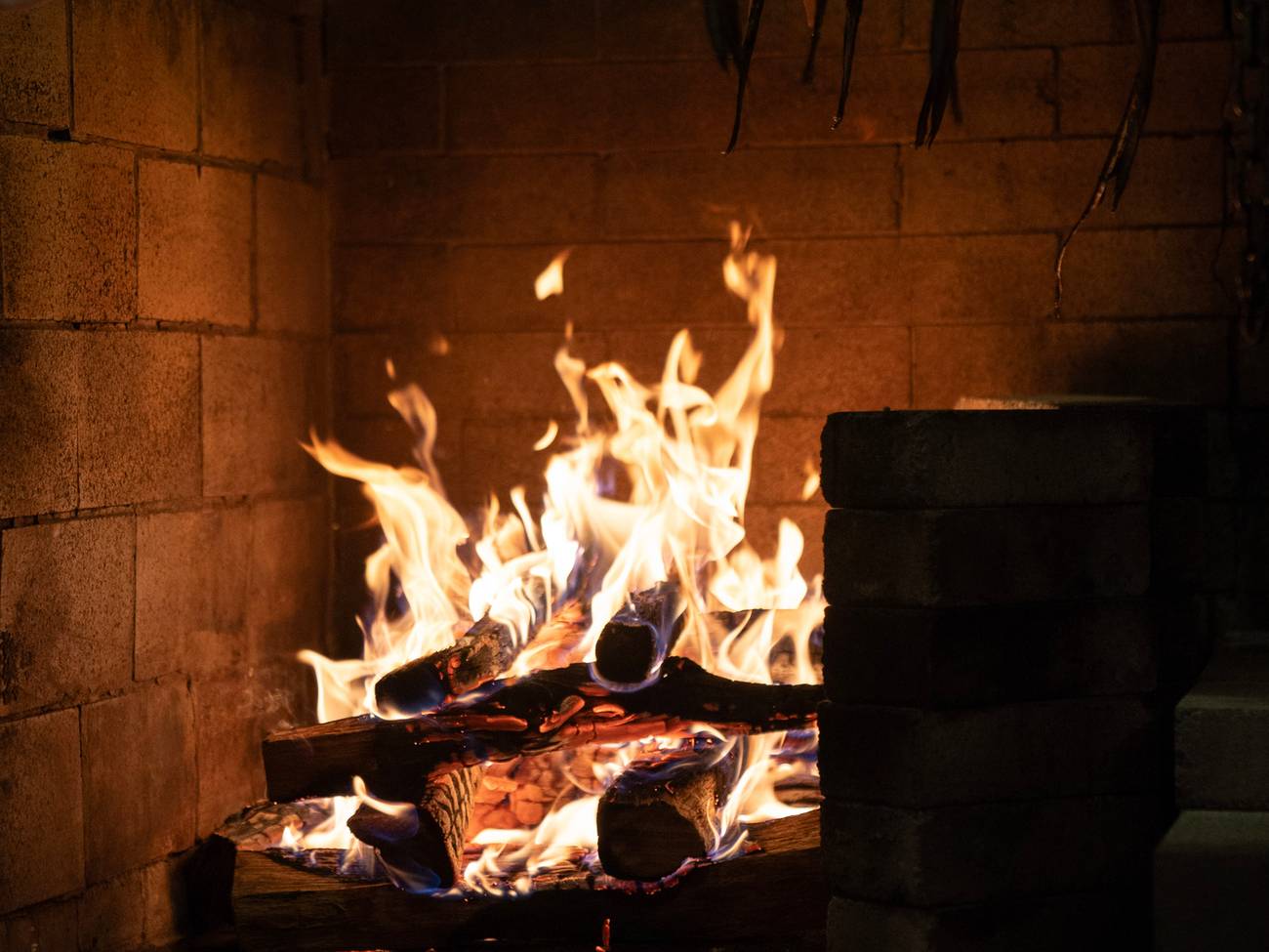 Wood burning fireplace