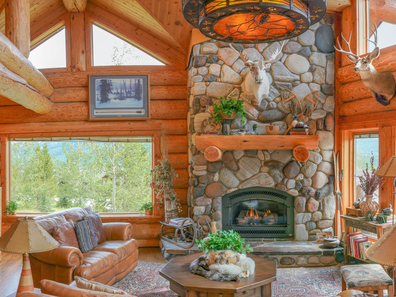 Half Hitch Home