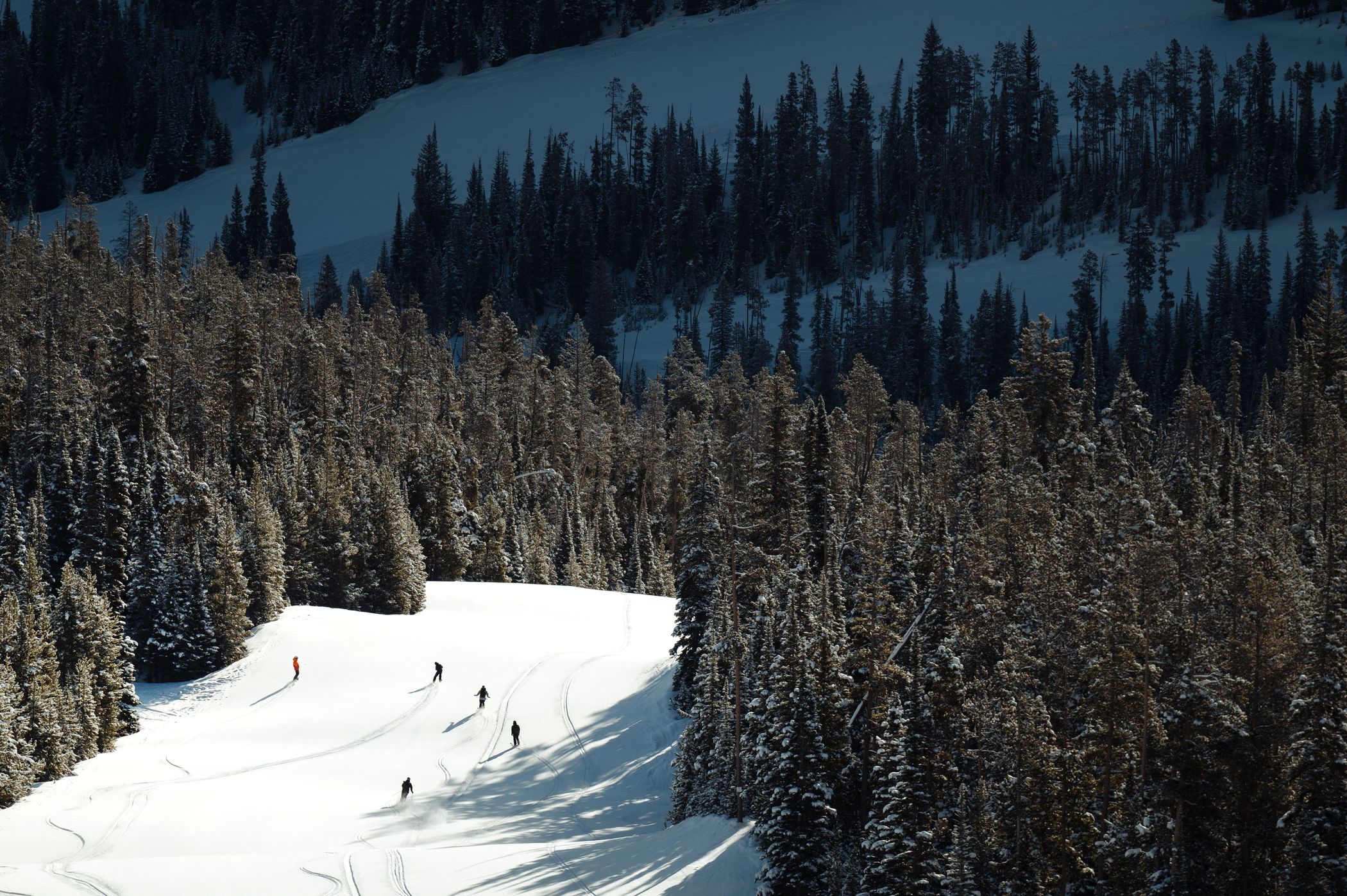 Skiers on a groomed run
