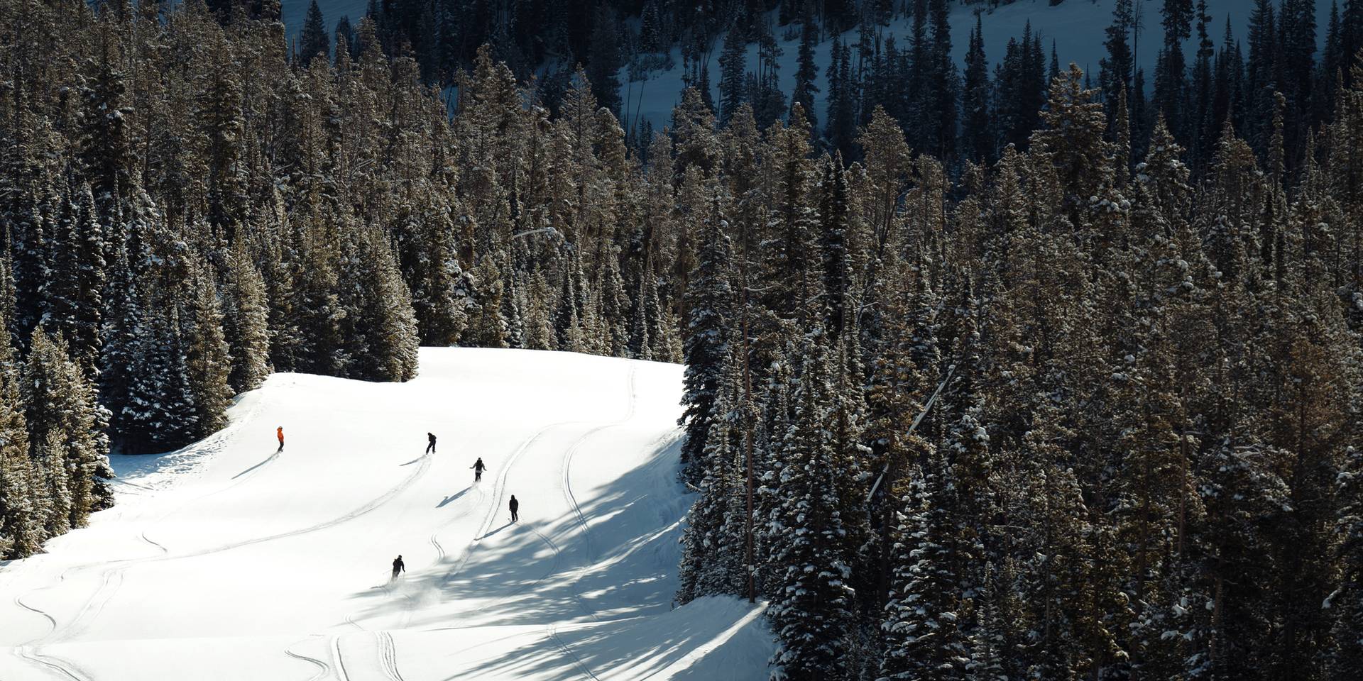 Skiers on a groomed run