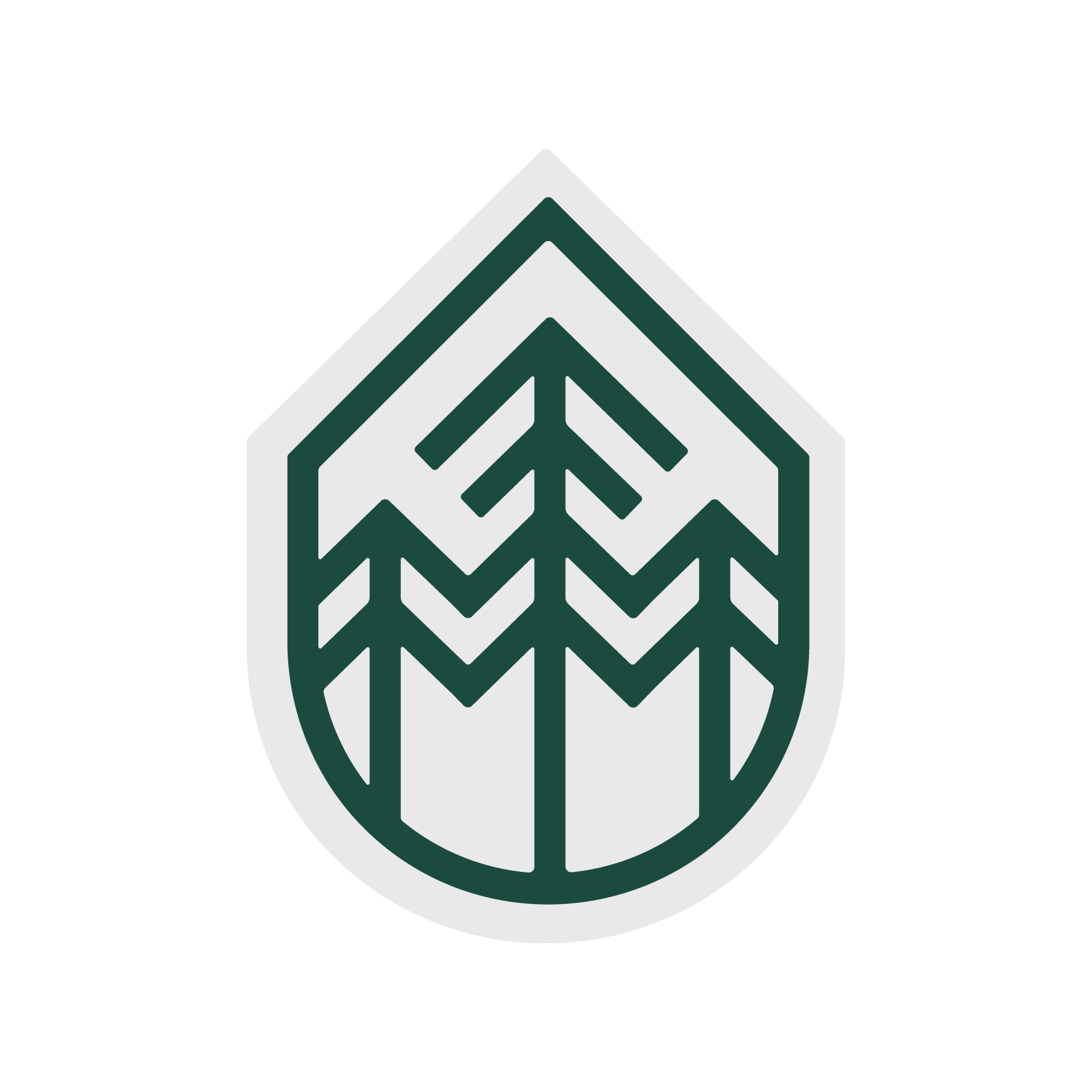 Boyne Forever Foundation logo