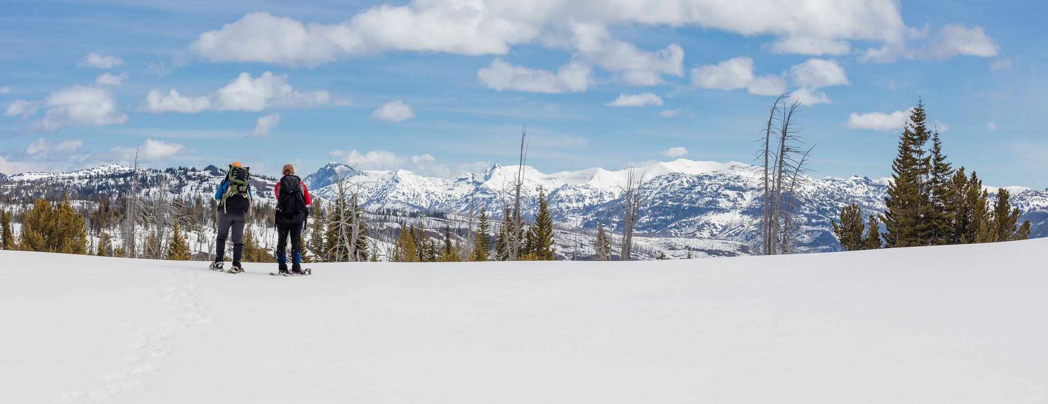 Snowshoers in Yellowstone National Park