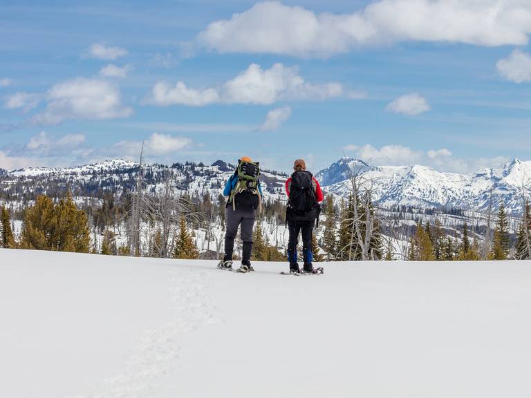 Snowshoers in Yellowstone National Park