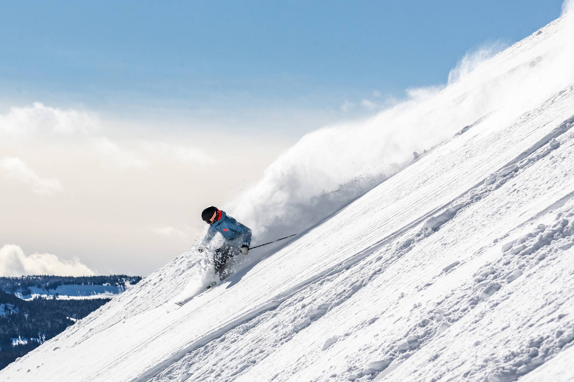 Skier in powder