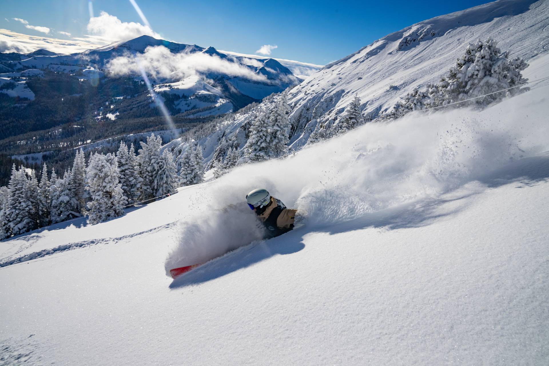 Skier in powder