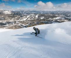 Skier