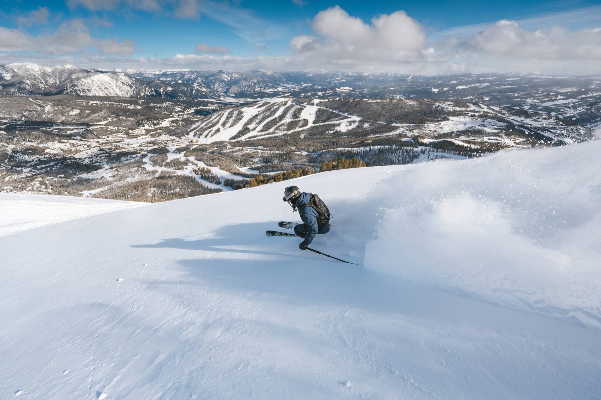 Skier