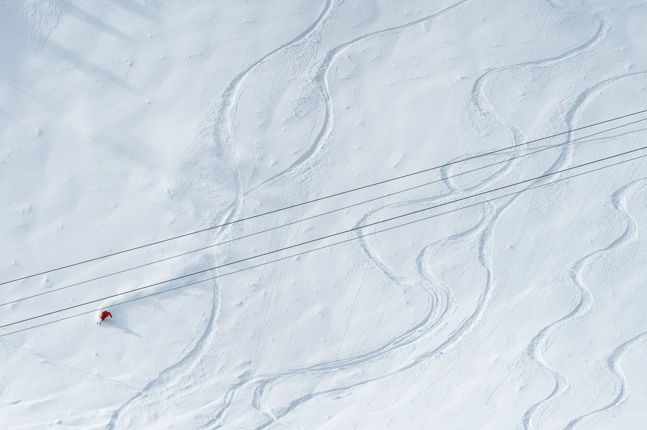 Skier in powder