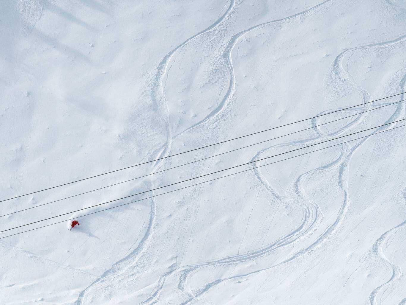 Skier in powder