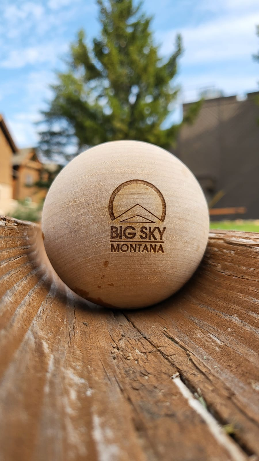 Marble run wooden marble