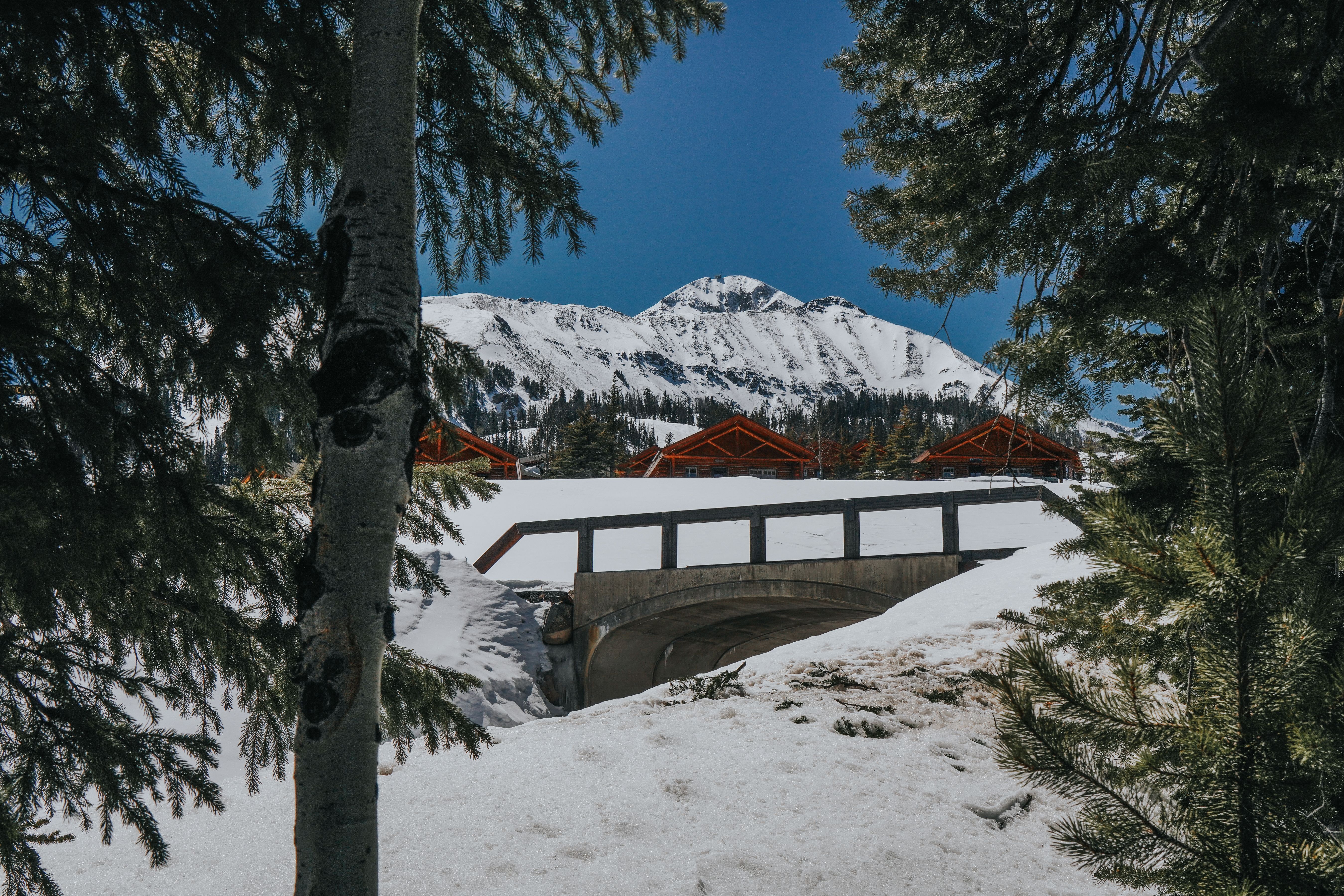 Cowboy Heaven Cabins