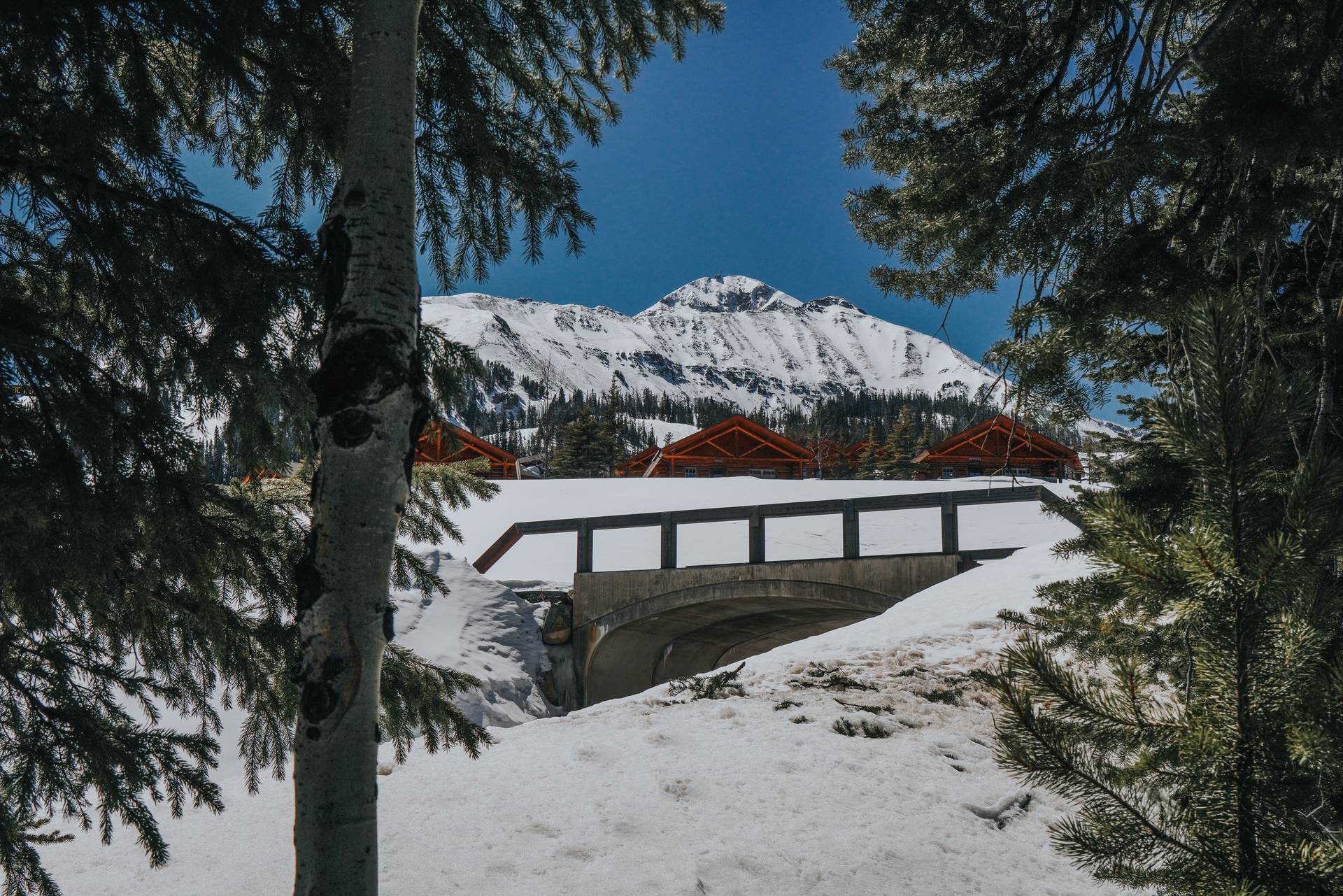 Cowboy Heaven Cabins vacation home exterior
