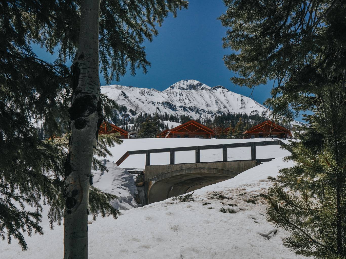 Cowboy Heaven Cabins