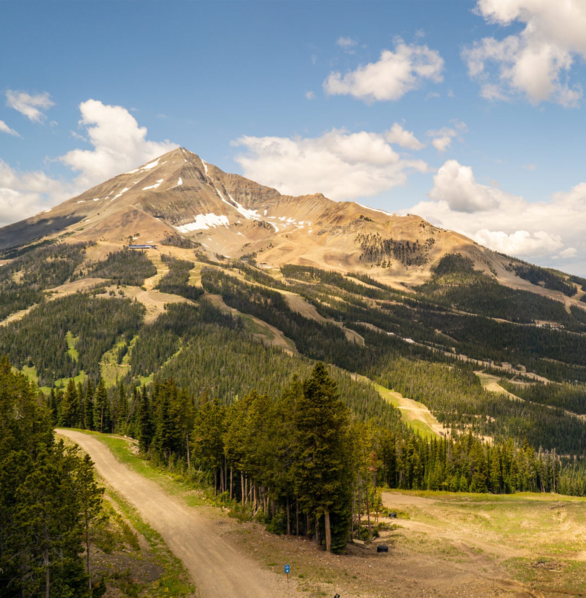 View of Lone Mountain in summer