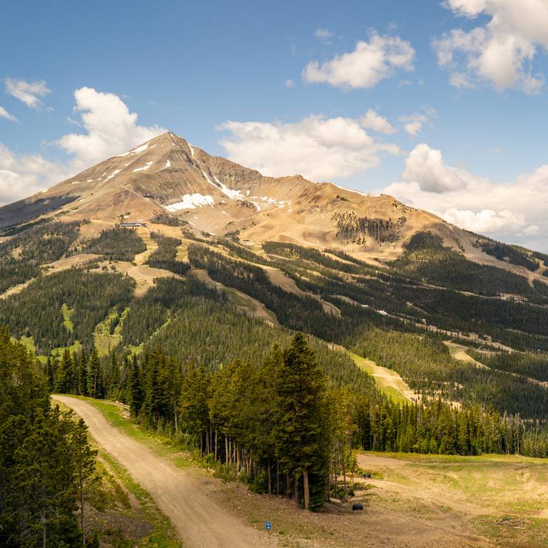 View of Lone Mountain in summer