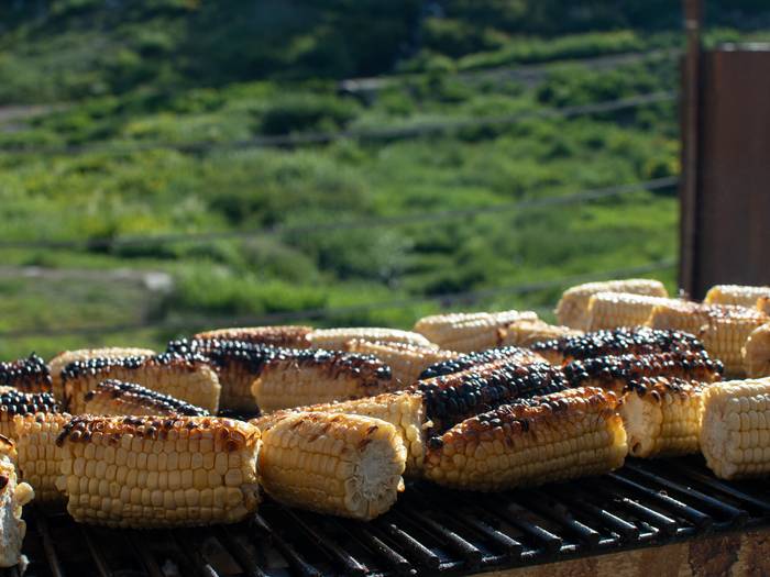 Grilled corn at Brighton Resort
