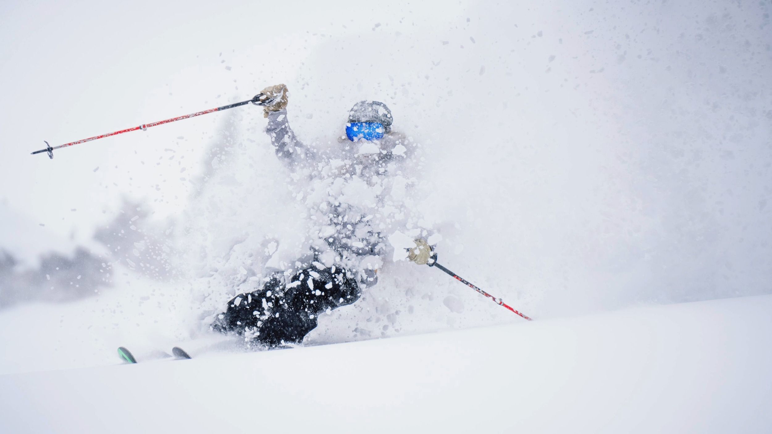 Brighton Resort season passes