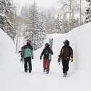 Group of friends walking to Brighton Resort