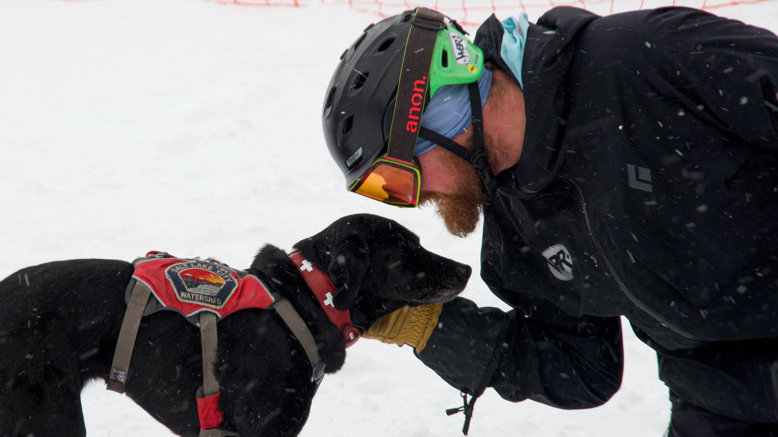 Ski patroller and ski patrol dog