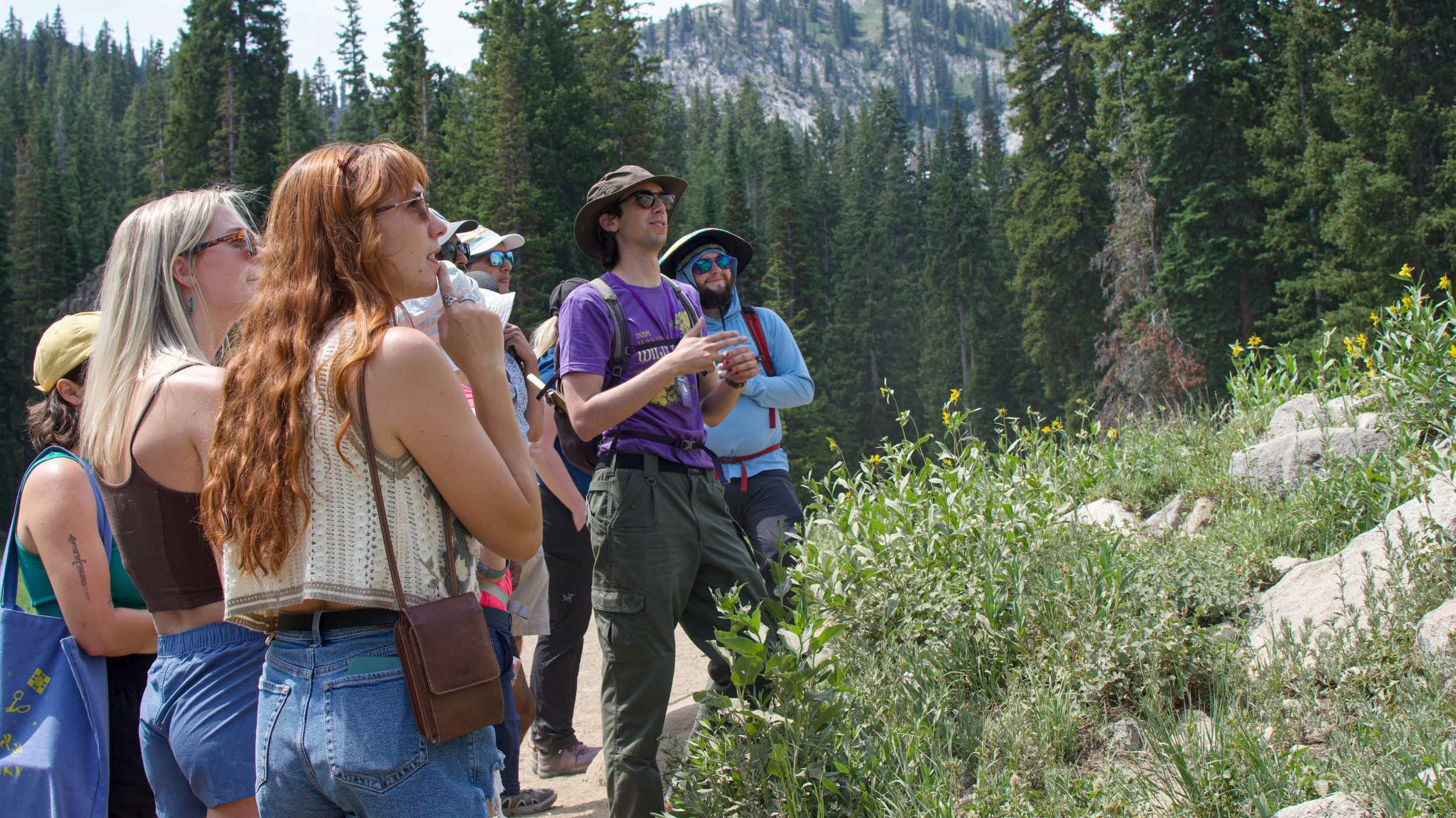 Wildflower Festival at Brighton Resort in the summer