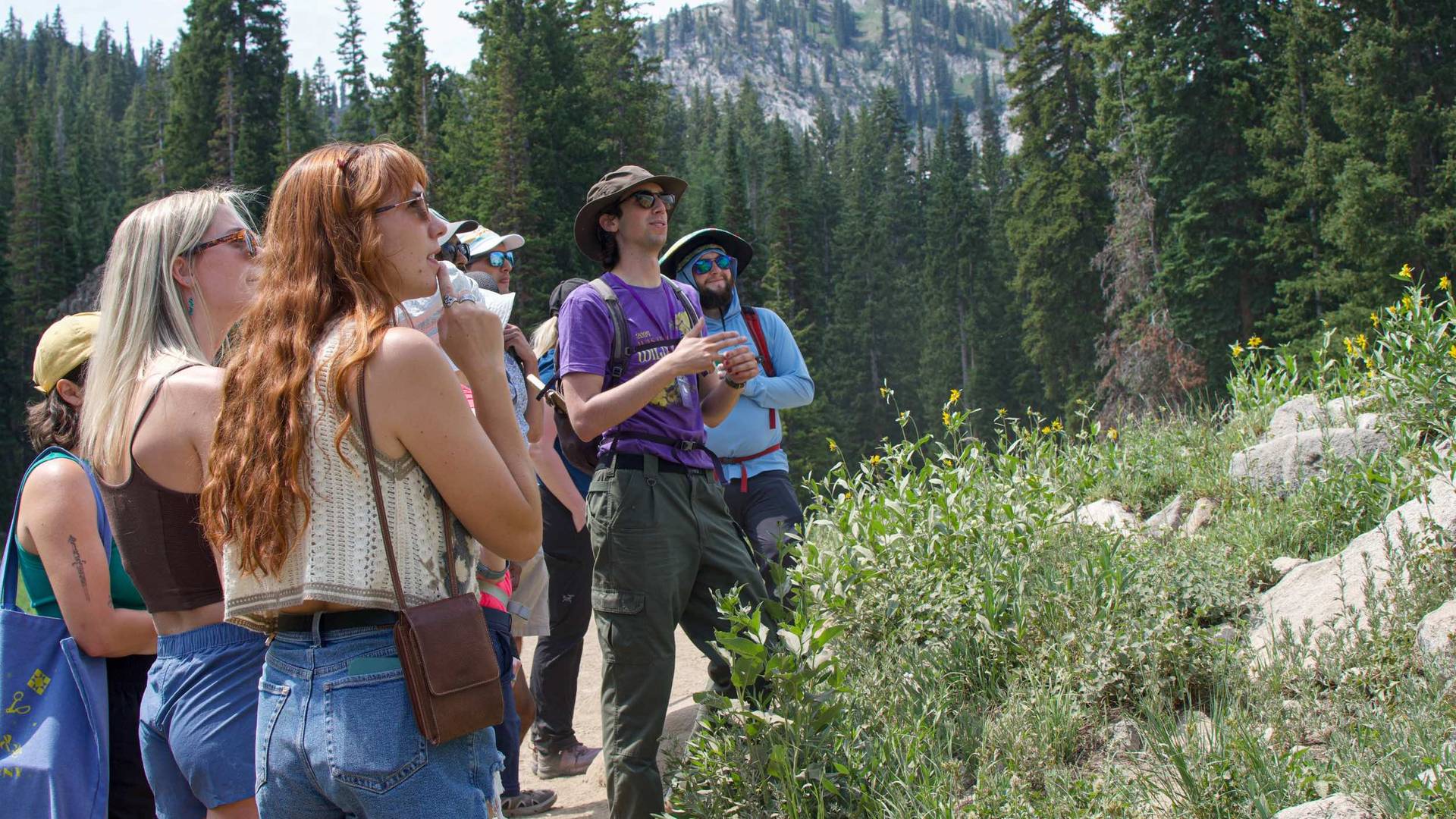 Wildflower Festival at Brighton Resort in the summer