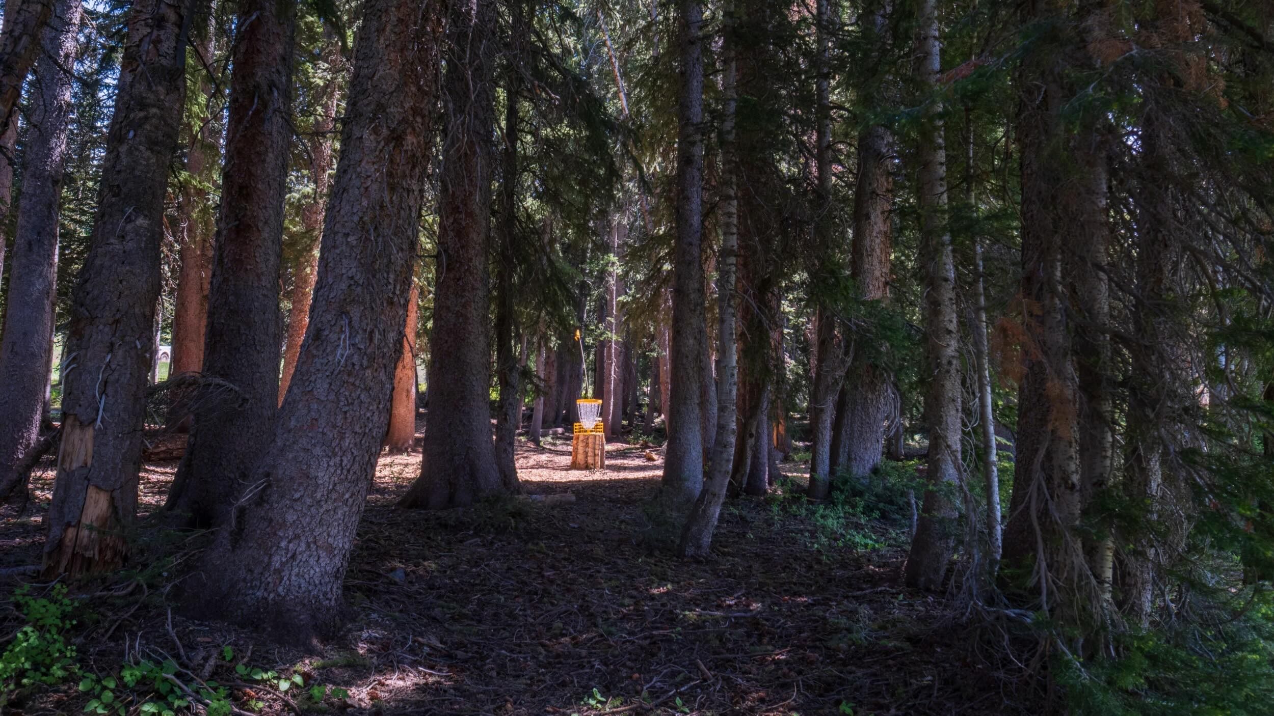 Disc golf course at Brighton Resort
