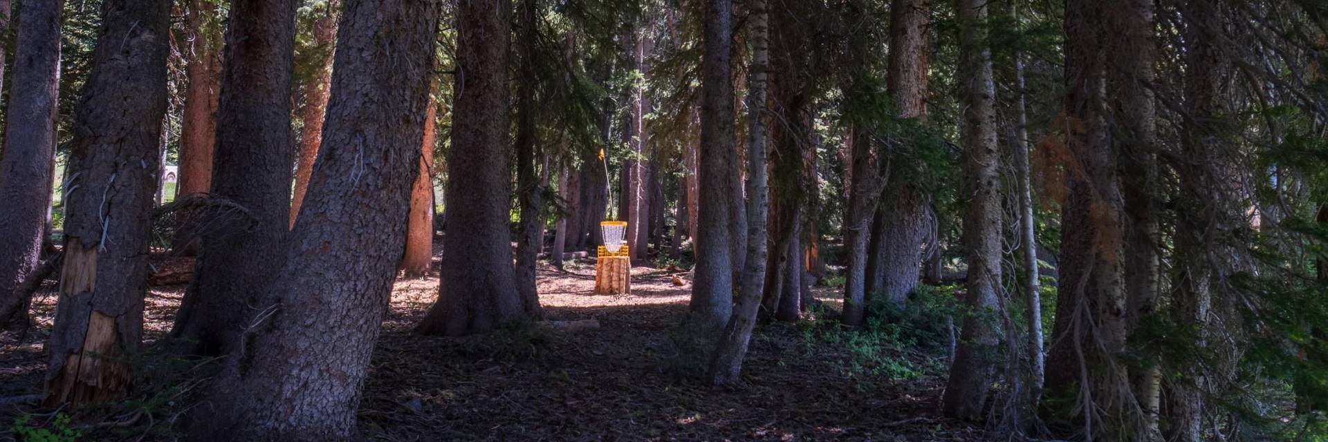 Disc golf course at Brighton Resort
