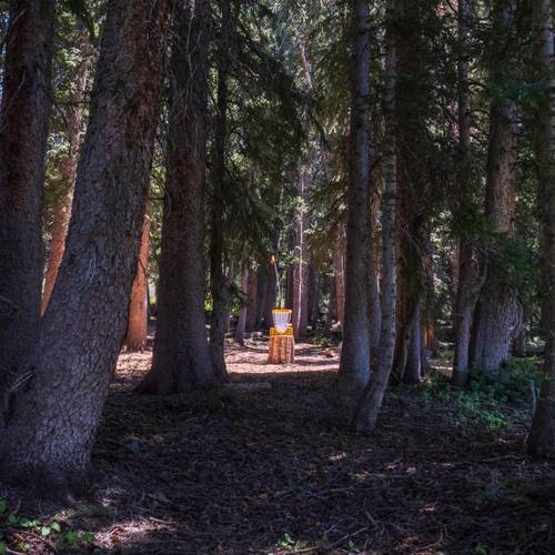 Disc golf course at Brighton Resort