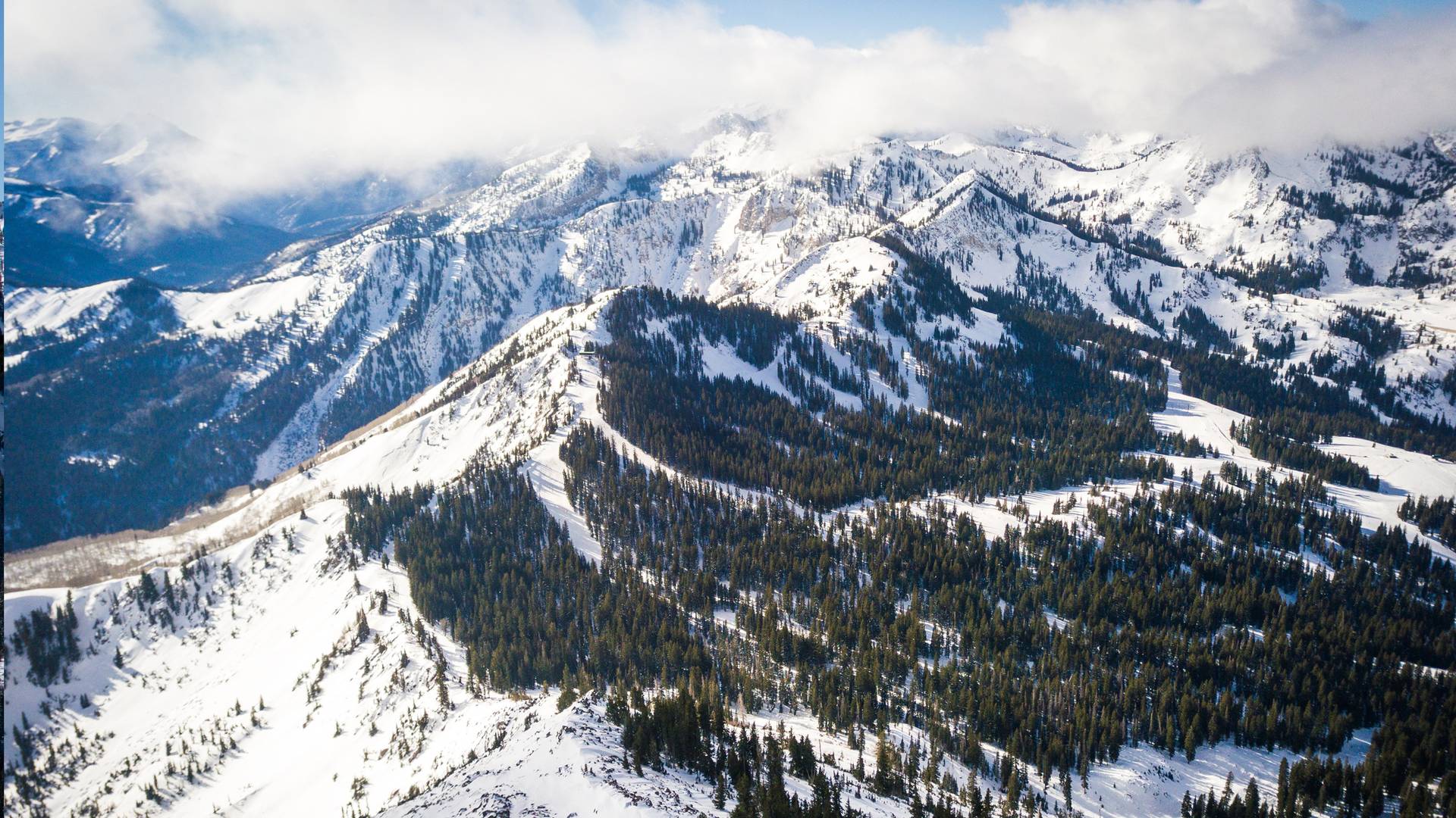 Scenic aerial view of Brighton Resort