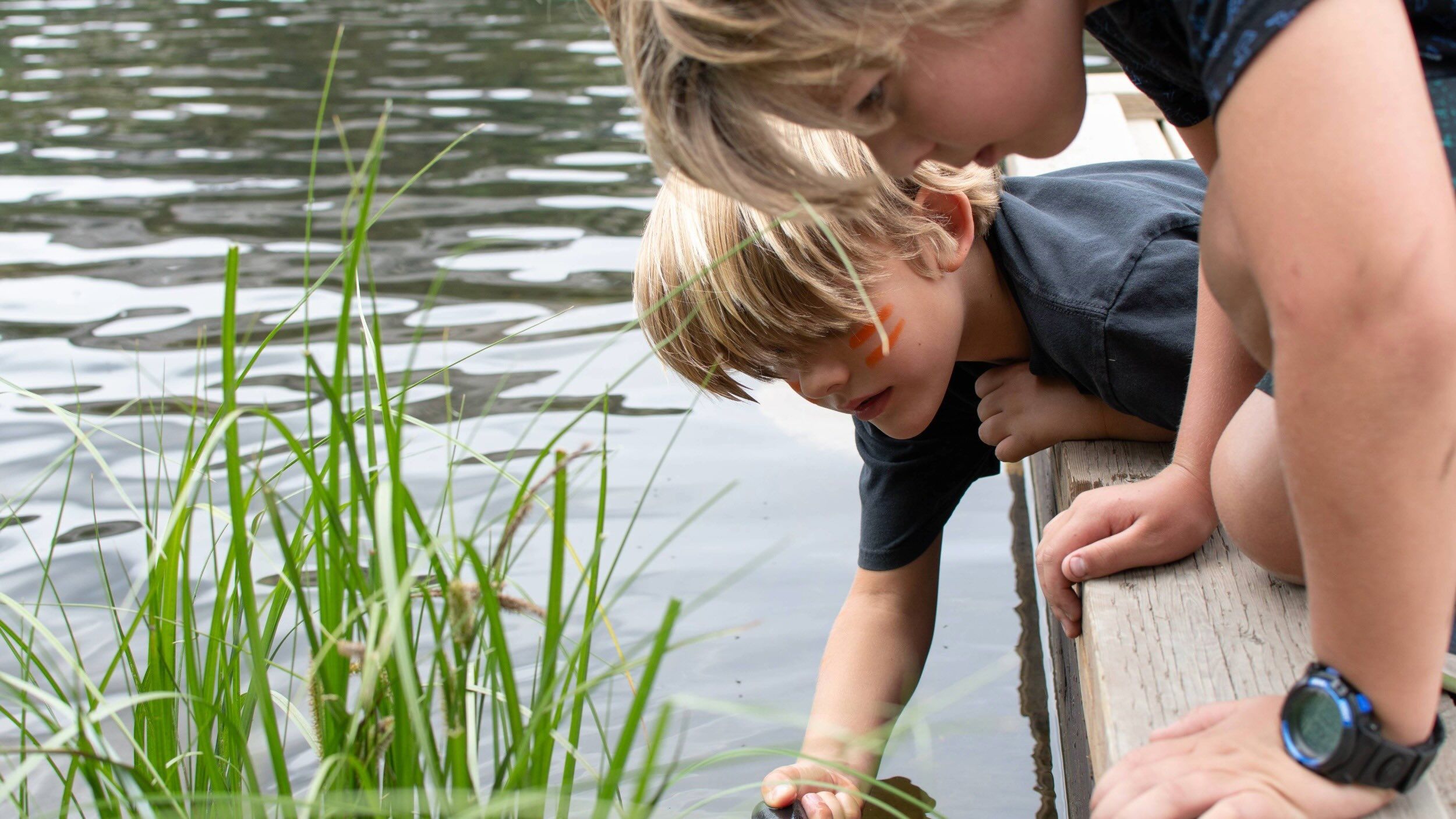 Kids in Brighton summer camp