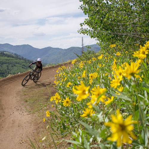 Girl on mountain bike