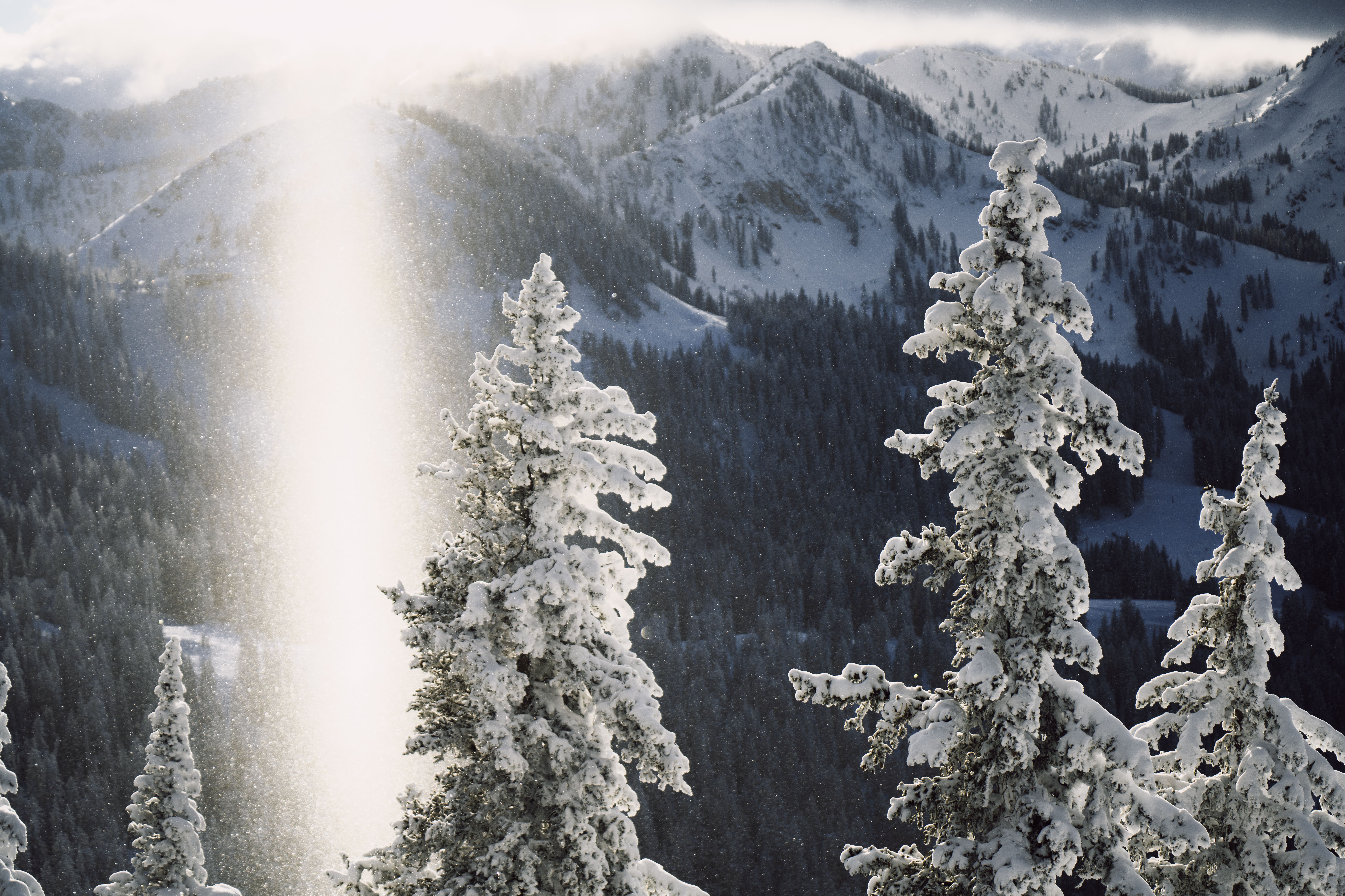 Scenic view of the trees at Brighton Ski Resort