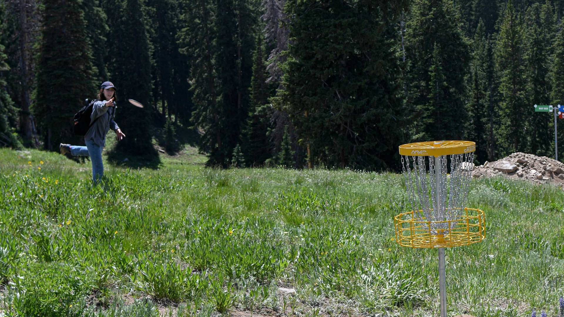 Playing disc golf at Brighton in the summer time