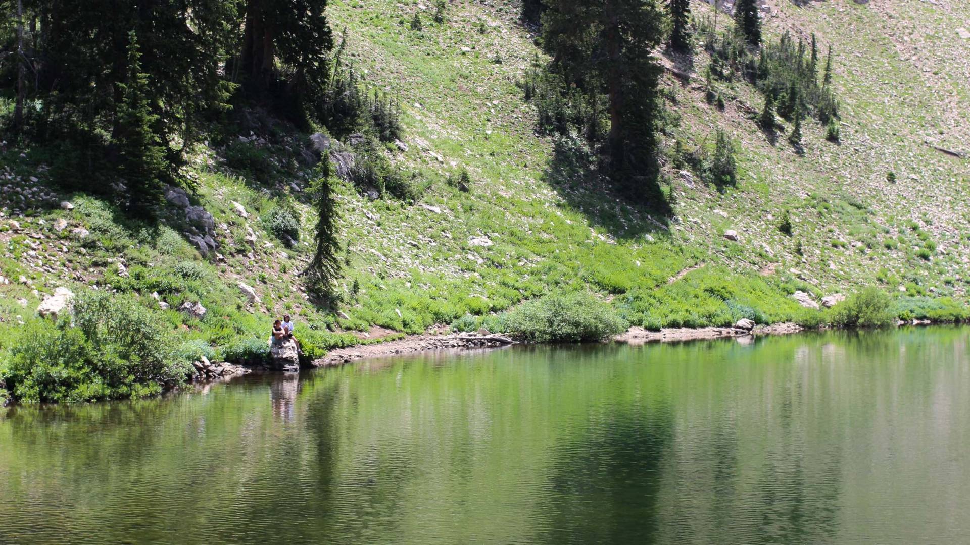 Friends sitting at Lake Catherine in the summer time