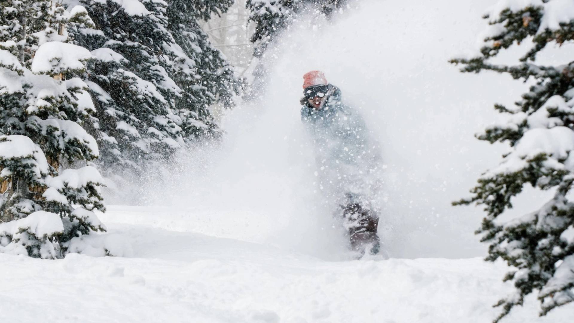 Snowboarder on powder day at Brighton Resort