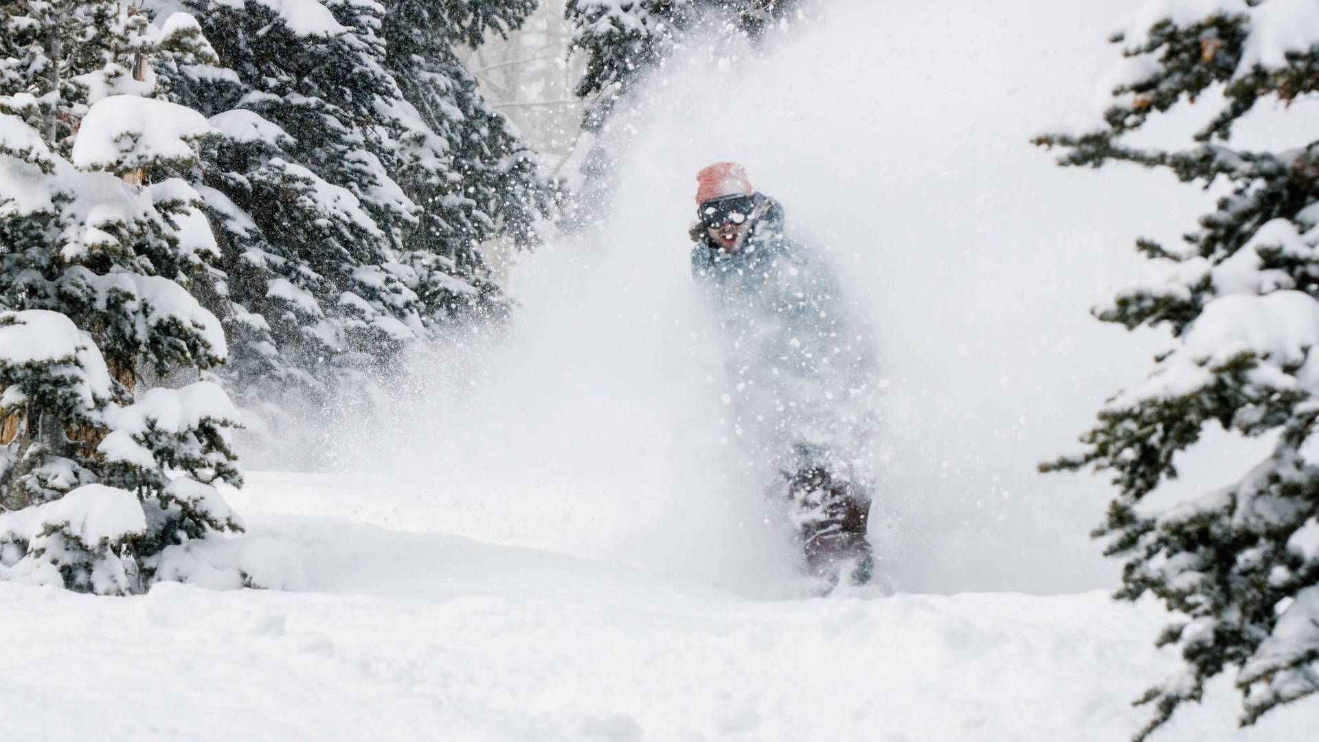 Snowboarder on powder day at Brighton Resort