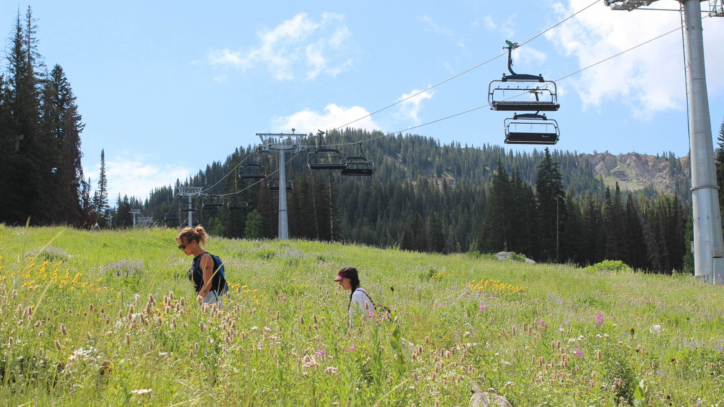 Hiking in the summer time at Brighton Resort