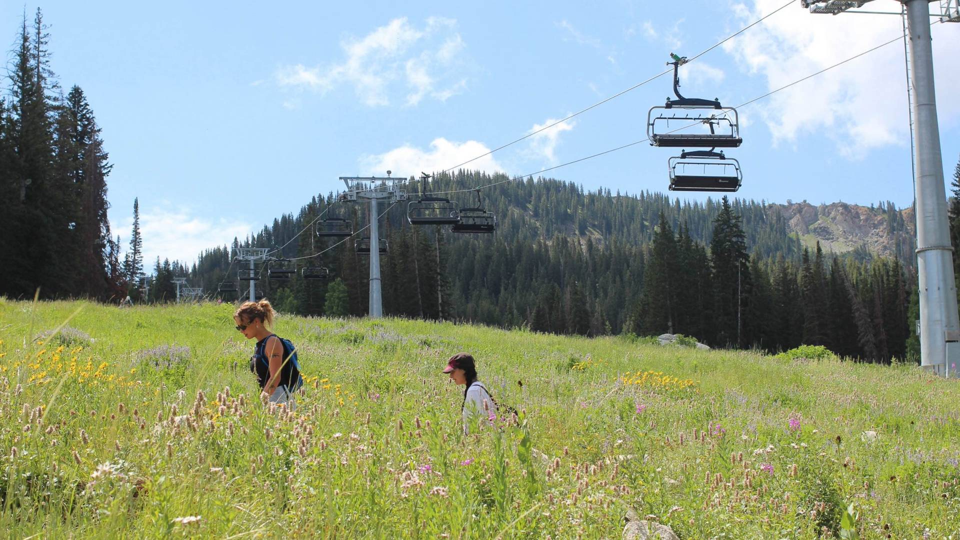 Hiking in the summer time at Brighton Resort