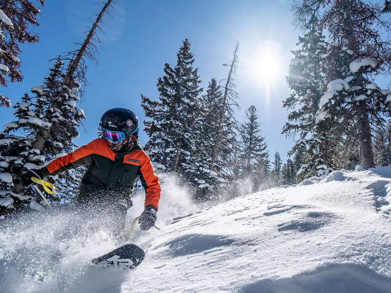Kid skiing powder in the trees
