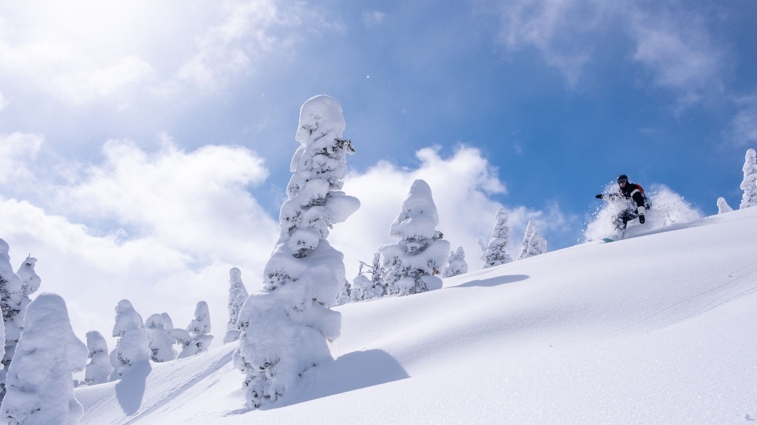 Snowboarder riding at Brighton on a bluebird powder day