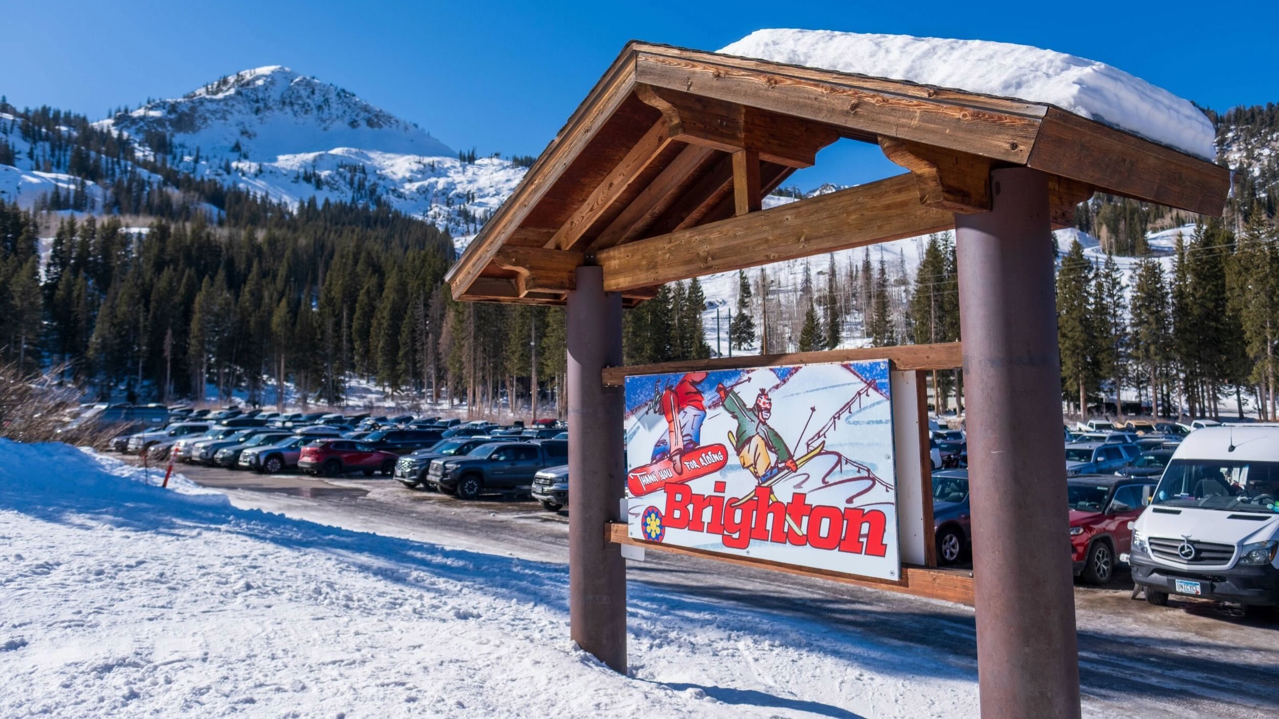 Design the sign winner