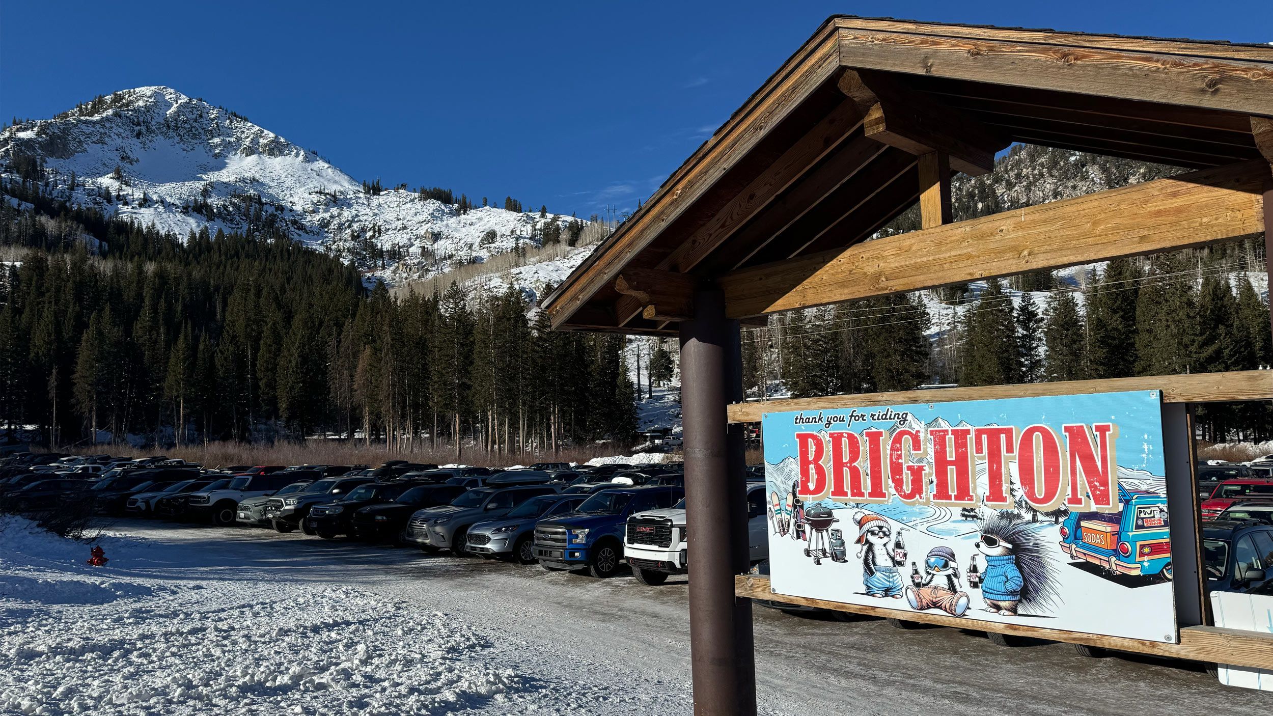 Design the sign winner