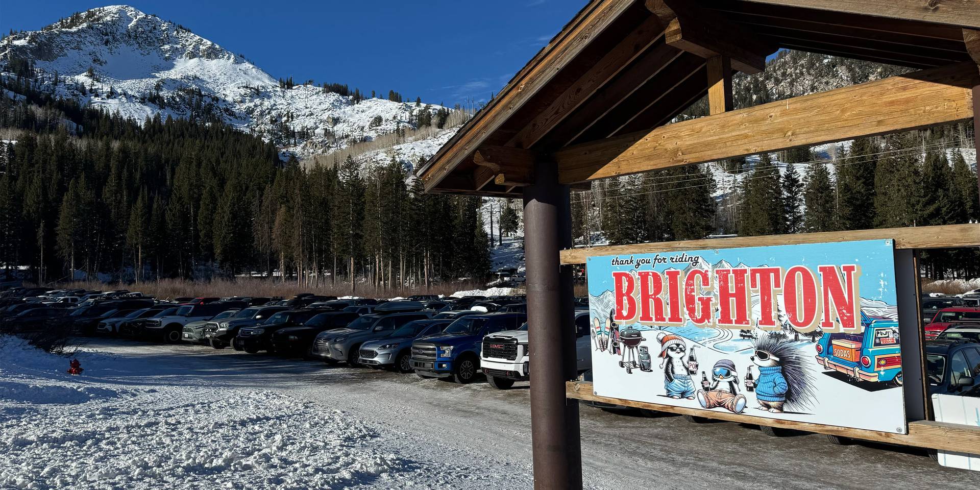 Design the sign winner